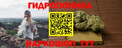 ГАЛЛЮЦИНОГЕННЫЕ ГРИБЫ Лесосибирск