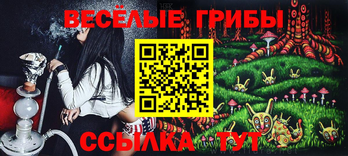 Псилоцибиновые грибы ЛСД  Вход с VPN  цена наркотик  Гусь-Хрустальный 